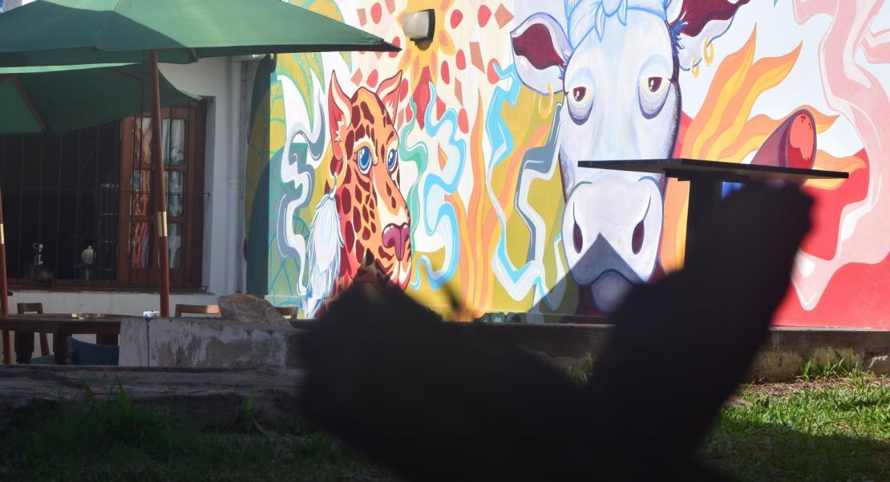 Trotamundos Hostel ซัลตา ภายนอก รูปภาพ